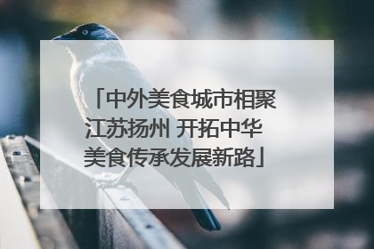 中外美食城市相聚江苏扬州 开拓中华美食传承发展新路